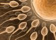 Vers une possibilité d'accès aux origines pour les enfants issus d'un don de sperme