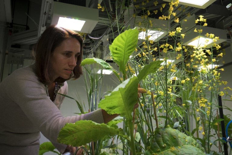 Une nature sous cloche pour mieux comprendre l'impact humain Une nature sous cloche pour mieux comprendre l'impact humain