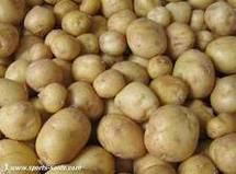 Soutien apporté aux producteurs de pomme de terre
