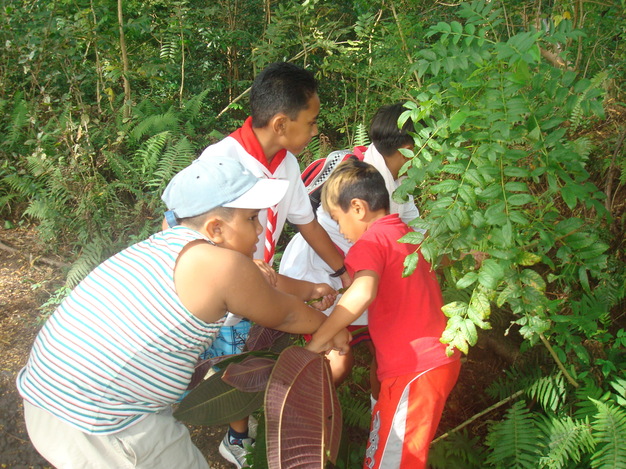 Tous ensemble dans l'action!