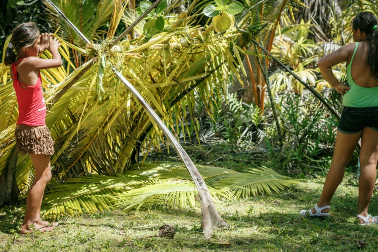 Tetiaroa en version salle de classe 