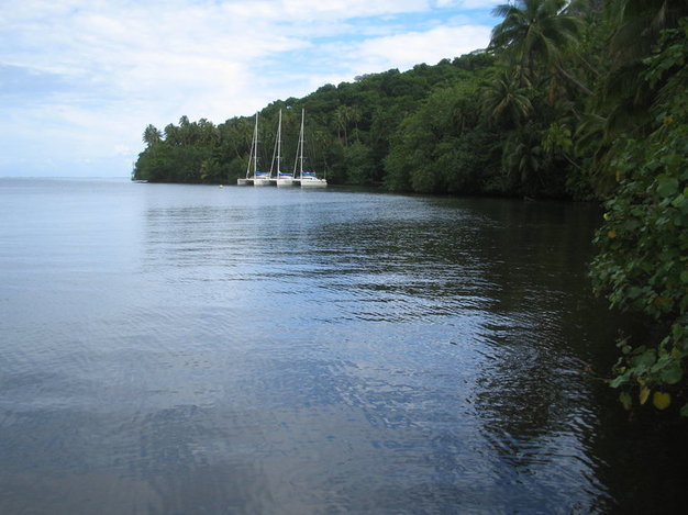 comment revenir et vivre à nouveau dans son monde
