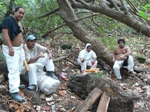 Kassowitz installe la grotte d’Ouvéa à Moorea