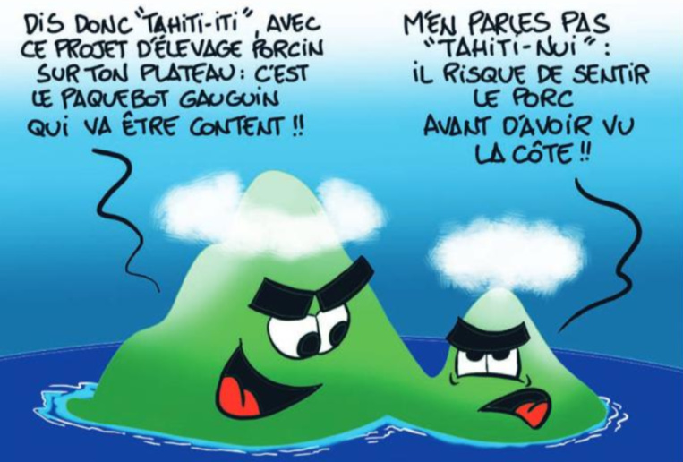 " L'élevage porcin à Taravao " vu par Munoz