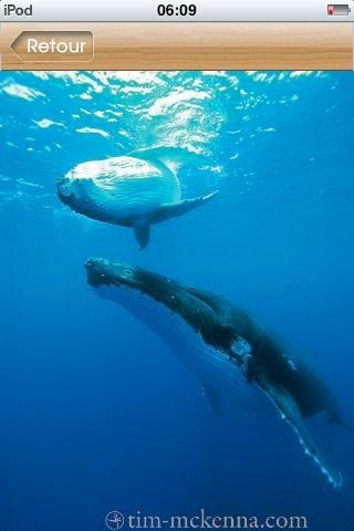 Le TIKIGUIDE, le guide GPS touristique de Tahiti et Moorea.