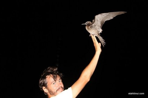 Le magnifique geste l'oiseau libre se pose sur ma main