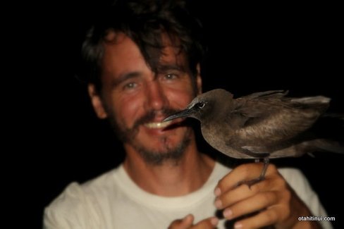 Je me remet en position, l'oiseau revient une deuxième fois