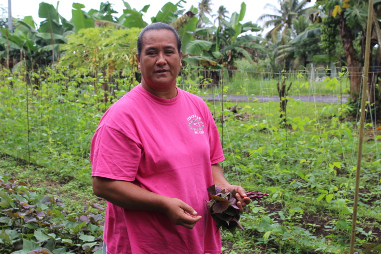 Fa'ati fa'a'apu : visite au cœur des exploitations Fa'ati fa'a'apu : visite au cœur des exploitations