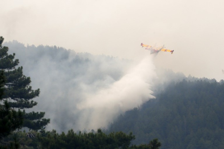 La vague de chaleur en Europe provoque sécheresse et incendies