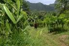 Une semaine de l’environnement et de la culture sur l’île de Tahaa