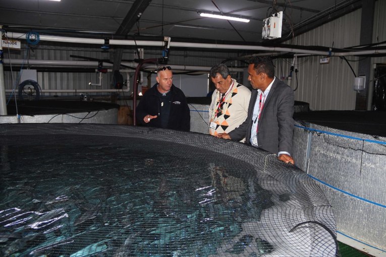 Edouard Fritch poursuit sa visite officielle en Nouvelle-Zélande