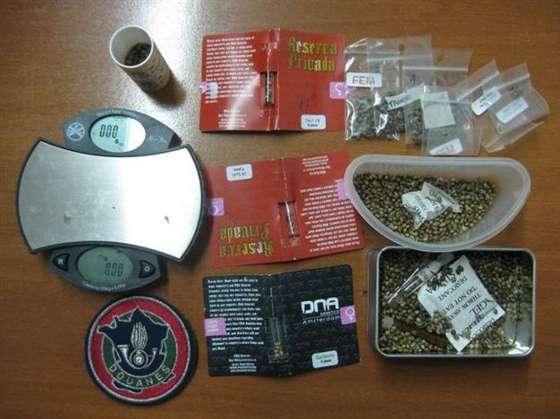 Le trafiquant sème ... la douane récolte