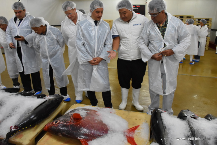Le ministre de l'action et des comptes publics a assisté à une vente à la criée, lors de sa visite du port de pêche de Fare Ute, lundi. Le ministre de l'action et des comptes publics a assisté à une vente à la criée, lors de sa visite du port de pêche de Fare Ute, lundi.