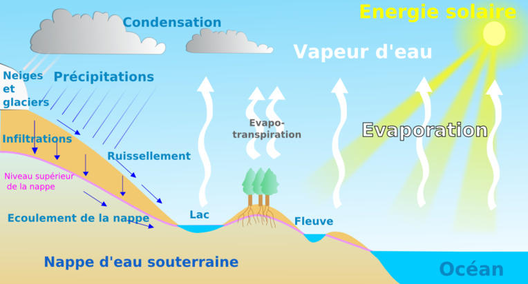 Le cycle de l’eau Le cycle de l’eau
