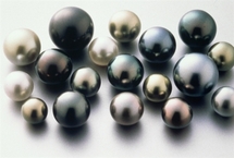 La perle de Tahiti retrouve son éclat lors des ventes aux enchères.