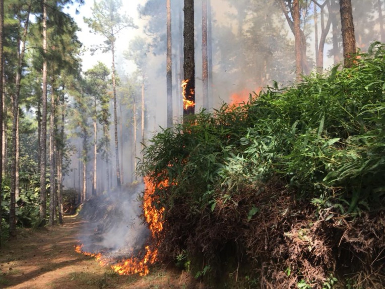 Photo FB : Kévin Scott Photo FB : Kévin Scott