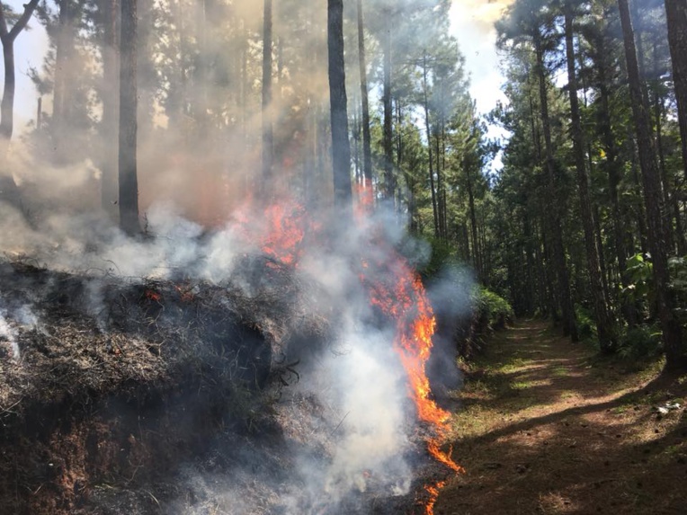 Photo FB : Kévin Scott Photo FB : Kévin Scott