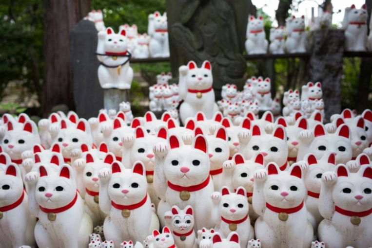 A Tokyo, un temple des chats porte-bonheur attire les instagrammeurs