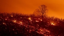 La Californie ravagée par un nouvel incendie record La Californie ravagée par un nouvel incendie record