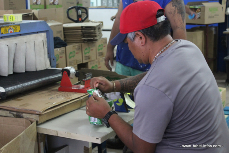 Emploi secteur marchand : les chiffres sont satisfaisants Emploi secteur marchand : les chiffres sont satisfaisants