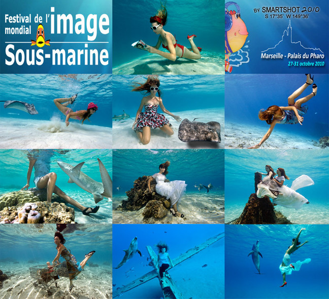 Festival mondial de l'image sous-marine: Un projet aidé par l'APAC décroche la PALME D'OR