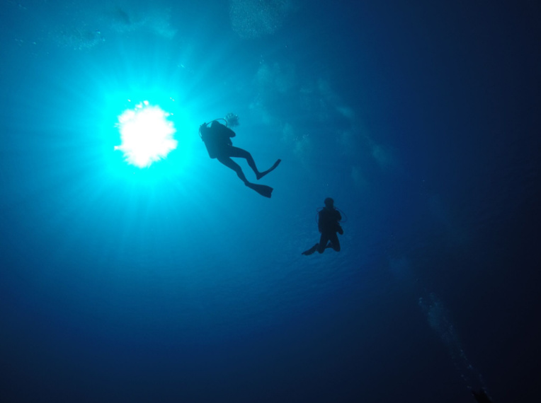 Après une bonne heure d’immersion, le lent retour vers la surface. Après une bonne heure d’immersion, le lent retour vers la surface.