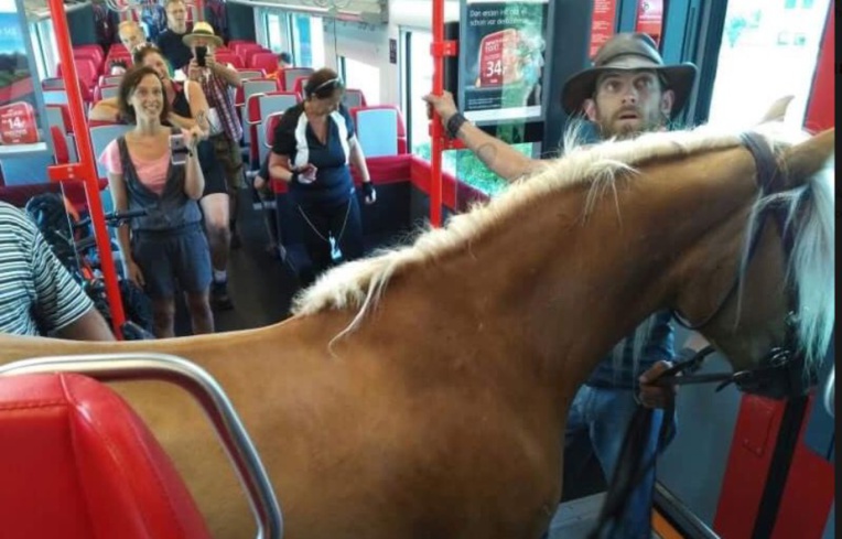 Crédit : Twitter Crédit : Twitter