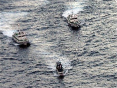 Les vedettes arrivent