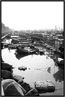 Il faut éviter les jonques