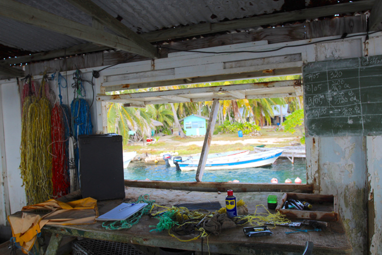 A l’intérieur du fare greffe, avec vue sur le petit port de la ferme.© Daniel Pardon A l’intérieur du fare greffe, avec vue sur le petit port de la ferme.© Daniel Pardon