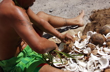 L'exploitation du coprah, ressource principale des îles.