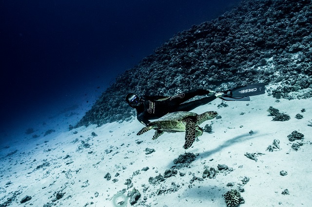 Devant chez lui, Guillaume Néry peut rapidement sortir du lagon, tutoyer les profondeurs et rencontrer des tortues comme sur cette photo. Photo : DR