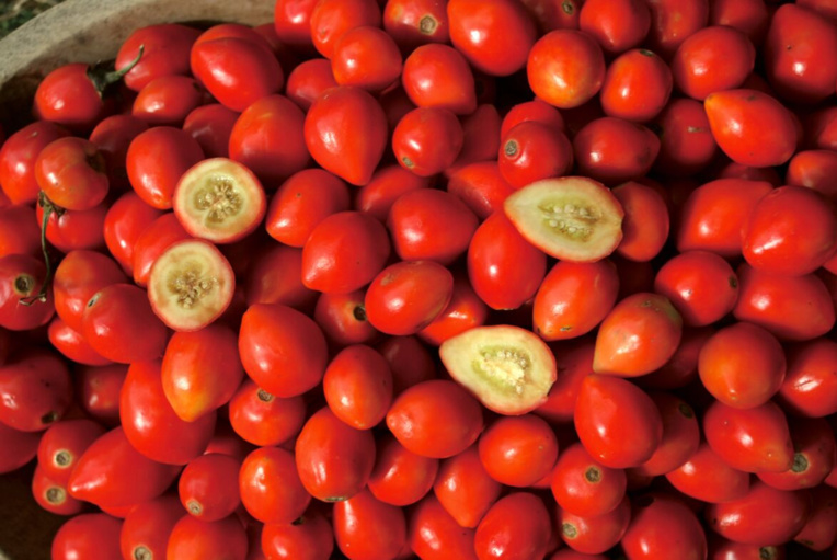 Carnet de voyage - Fruits colorés de Rurutu Carnet de voyage - Fruits colorés de Rurutu