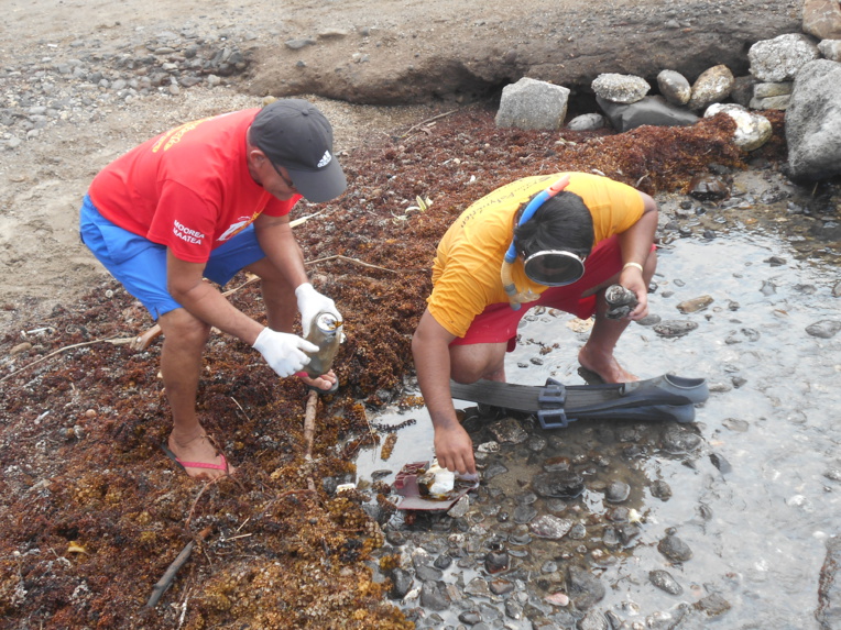 Moorea : Les habitants de Maatea nettoient le lagon Moorea : Les habitants de Maatea nettoient le lagon