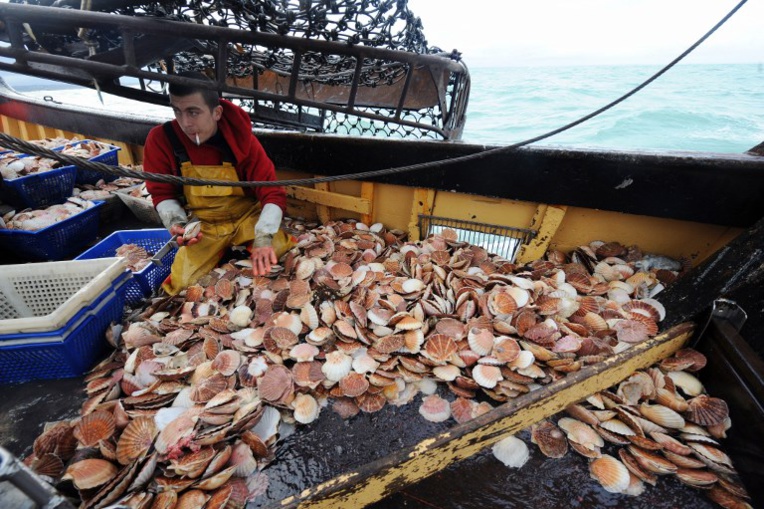 Coquilles Saint-Jacques: la Marine française mobilisée pour éviter des heurts Coquilles Saint-Jacques: la Marine française mobilisée pour éviter des heurts
