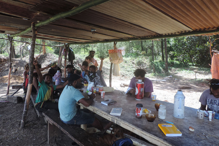 A Kouaoua en Nouvelle-Calédonie, des Kanak écolos défient l'industrie du nickel