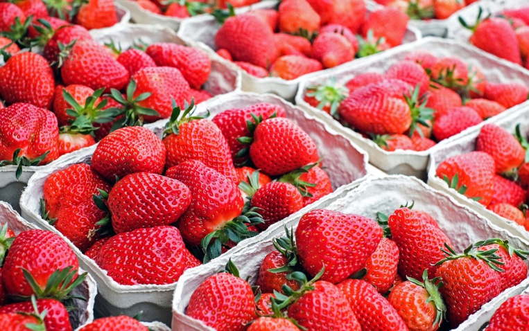 Découverte de fraises australiennes piégées en Nouvelle-Zélande