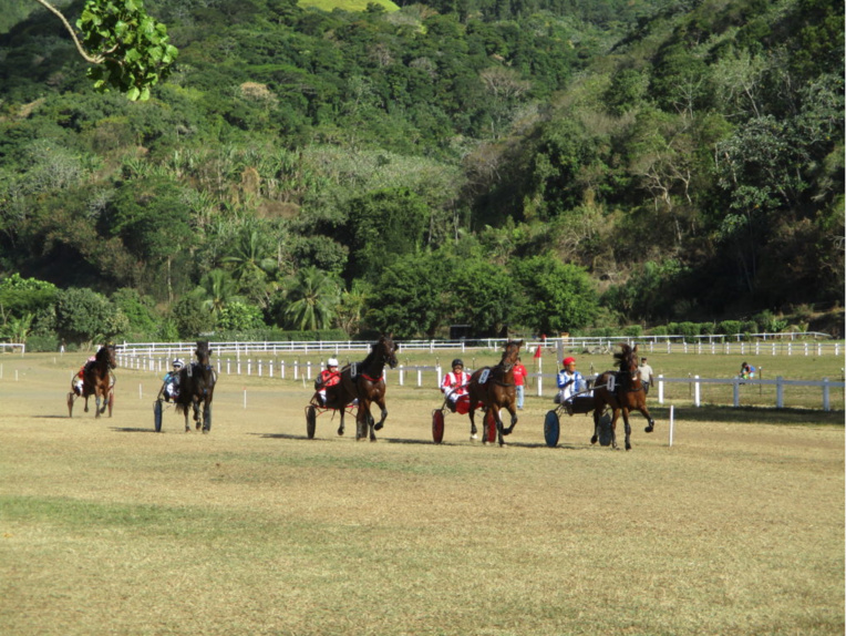 Les courses ont lieu à l'hippodrome de Pirae. Crédit Ahee. Les courses ont lieu à l'hippodrome de Pirae. Crédit Ahee.