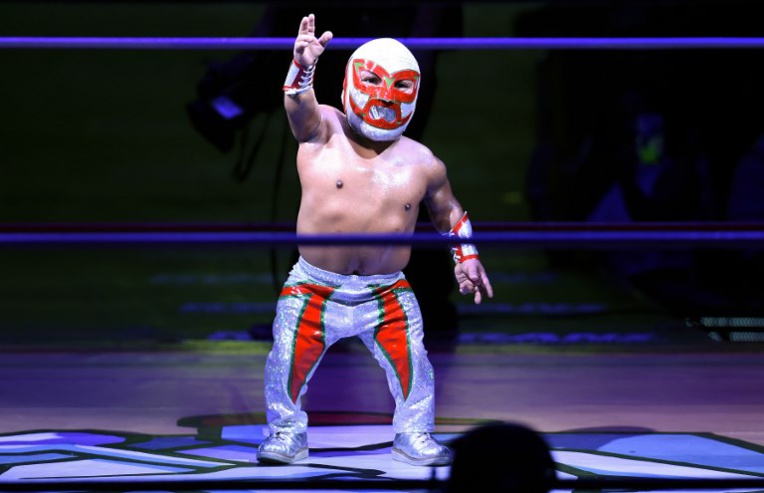 D'amuseur public à idole, le parcours de Microman, catcheur nain mexicain D'amuseur public à idole, le parcours de Microman, catcheur nain mexicain