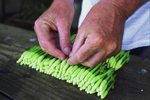 Le Monoï de Tahiti®, un trésor culturel, mais aussi un vrai atout économique