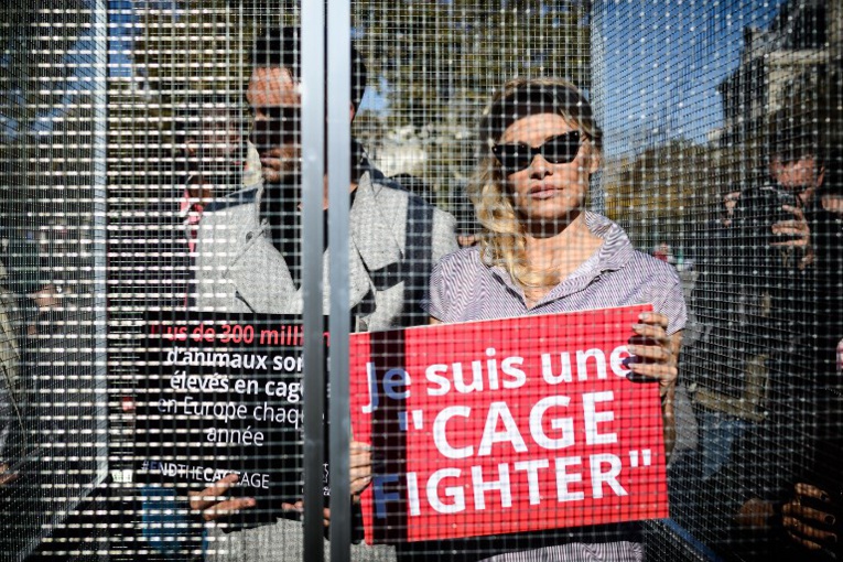 Pamela Anderson et Yannick Jadot en cage pour dénoncer les souffrances animales