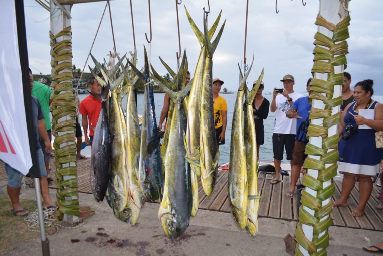 La pesée sera effectuée samedi à 16H La pesée sera effectuée samedi à 16H
