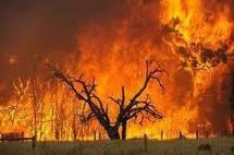Australie: de nombreuses maisons détruites par des incendies autour de Perth
