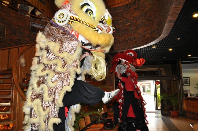 AU CESC, LES LIONS ONT CONJURE LES MAUVAIS SORTS