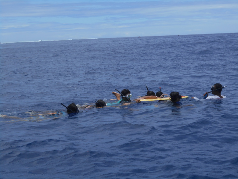 Afareaitu : des collégiens à la rencontre des baleines Afareaitu : des collégiens à la rencontre des baleines