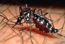 Sanofi parie sur l'avenir du vaccin anti-dengue