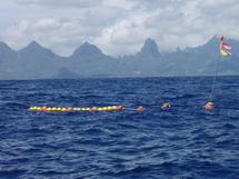 Mouillage de Dispositifs de Concentrations de Poissons aux Tuamotu-est.