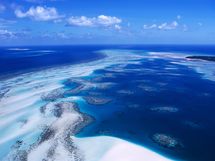 Menace sur les récifs coralliens : l’Océanie en première ligne
