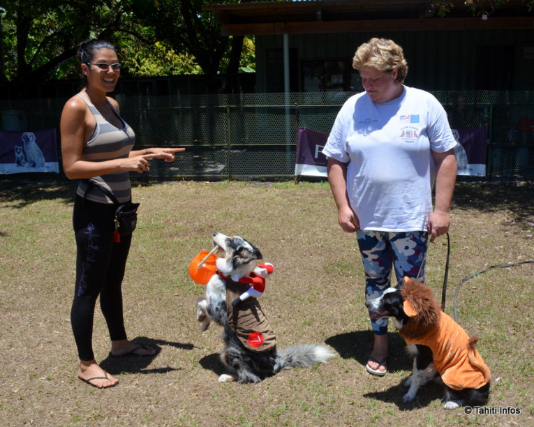 Lisa et Virginie ont partagé leurs conseils pour dresser les chiens. Les chiens sont déguisé car nous les avons rencontré juste avant Halloween ! Lisa et Virginie ont partagé leurs conseils pour dresser les chiens. Les chiens sont déguisé car nous les avons rencontré juste avant Halloween !
