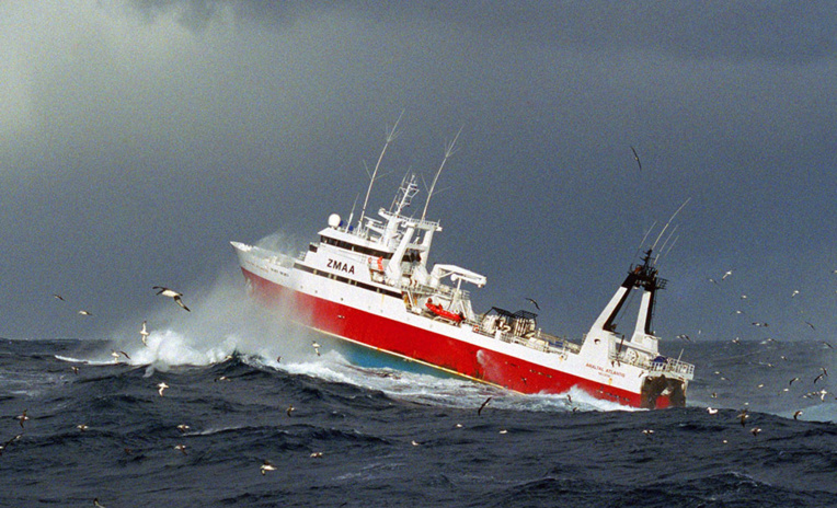 Nouvelle-Zélande: un bébé "miraculeusement" sauvé des eaux Nouvelle-Zélande: un bébé "miraculeusement" sauvé des eaux